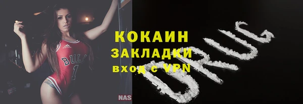 спиды Богданович