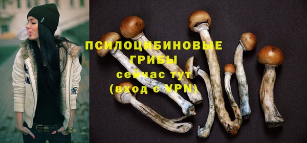 спиды Богданович