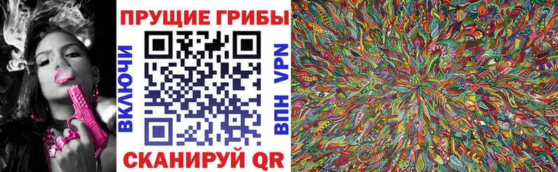 ОМГ ОМГ сайт  Сланцы  Галлюциногенные грибы GOLDEN TEACHER 